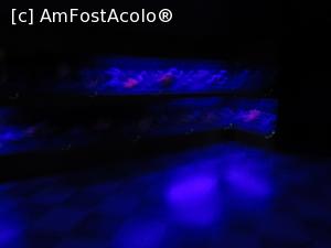 [P56] Minerale fluorescente » foto by Michi
 - 
<span class="allrVoted glyphicon glyphicon-heart hidden" id="av1349403"></span>
<a class="m-l-10 hidden" id="sv1349403" onclick="voting_Foto_DelVot(,1349403,21662)" role="button">șterge vot <span class="glyphicon glyphicon-remove"></span></a>
<a id="v91349403" class=" c-red"  onclick="voting_Foto_SetVot(1349403)" role="button"><span class="glyphicon glyphicon-heart-empty"></span> <b>LIKE</b> = Votează poza</a> <img class="hidden"  id="f1349403W9" src="/imagini/loader.gif" border="0" /><span class="AjErrMes hidden" id="e1349403ErM"></span>