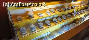 [P20] Exemple de faună din diverse ere geologice. » foto by tata123 🔱
 - 
<span class="allrVoted glyphicon glyphicon-heart hidden" id="av1491511"></span>
<a class="m-l-10 hidden" id="sv1491511" onclick="voting_Foto_DelVot(,1491511,21662)" role="button">șterge vot <span class="glyphicon glyphicon-remove"></span></a>
<a id="v91491511" class=" c-red"  onclick="voting_Foto_SetVot(1491511)" role="button"><span class="glyphicon glyphicon-heart-empty"></span> <b>LIKE</b> = Votează poza</a> <img class="hidden"  id="f1491511W9" src="/imagini/loader.gif" border="0" /><span class="AjErrMes hidden" id="e1491511ErM"></span>