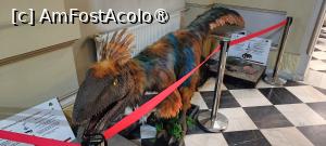 [P24] Dinozaur din Țara Hațegului. » foto by tata123 🔱
 - 
<span class="allrVoted glyphicon glyphicon-heart hidden" id="av1491515"></span>
<a class="m-l-10 hidden" id="sv1491515" onclick="voting_Foto_DelVot(,1491515,21662)" role="button">șterge vot <span class="glyphicon glyphicon-remove"></span></a>
<a id="v91491515" class=" c-red"  onclick="voting_Foto_SetVot(1491515)" role="button"><span class="glyphicon glyphicon-heart-empty"></span> <b>LIKE</b> = Votează poza</a> <img class="hidden"  id="f1491515W9" src="/imagini/loader.gif" border="0" /><span class="AjErrMes hidden" id="e1491515ErM"></span>
