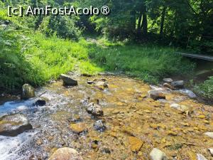 [P04] La confluența apelor de munte » foto by laurand
 - 
<span class="allrVoted glyphicon glyphicon-heart hidden" id="av1484504"></span>
<a class="m-l-10 hidden" id="sv1484504" onclick="voting_Foto_DelVot(,1484504,21674)" role="button">șterge vot <span class="glyphicon glyphicon-remove"></span></a>
<a id="v91484504" class=" c-red"  onclick="voting_Foto_SetVot(1484504)" role="button"><span class="glyphicon glyphicon-heart-empty"></span> <b>LIKE</b> = Votează poza</a> <img class="hidden"  id="f1484504W9" src="/imagini/loader.gif" border="0" /><span class="AjErrMes hidden" id="e1484504ErM"></span>