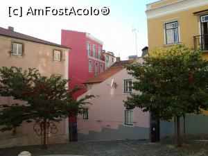 P01 [SEP-2016] Mouraria, barrio autentic al Lisabonei vechi, aflat sub poalele castelului -Largo de Achada -un pastel de culori, ador imaginea cu copacii care scot capul din piatră. 