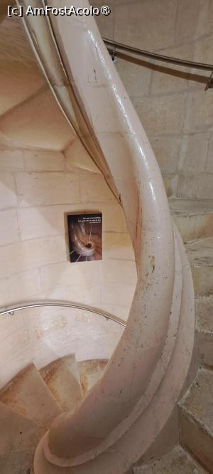 [P52] Scara spiralată » foto by irinad
 - 
<span class="allrVoted glyphicon glyphicon-heart hidden" id="av1514004"></span>
<a class="m-l-10 hidden" id="sv1514004" onclick="voting_Foto_DelVot(,1514004,21895)" role="button">șterge vot <span class="glyphicon glyphicon-remove"></span></a>
<a id="v91514004" class=" c-red"  onclick="voting_Foto_SetVot(1514004)" role="button"><span class="glyphicon glyphicon-heart-empty"></span> <b>LIKE</b> = Votează poza</a> <img class="hidden"  id="f1514004W9" src="/imagini/loader.gif" border="0" /><span class="AjErrMes hidden" id="e1514004ErM"></span>