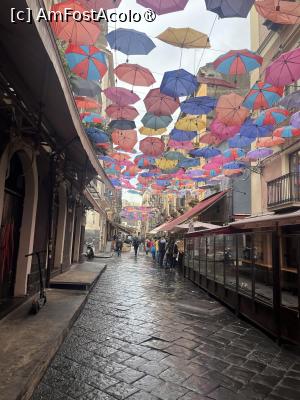 [P22] Catania- Via Gizira , spre ”La Pescheria” » foto by Yersinia Pestis
 - 
<span class="allrVoted glyphicon glyphicon-heart hidden" id="av1516771"></span>
<a class="m-l-10 hidden" id="sv1516771" onclick="voting_Foto_DelVot(,1516771,22049)" role="button">șterge vot <span class="glyphicon glyphicon-remove"></span></a>
<a id="v91516771" class=" c-red"  onclick="voting_Foto_SetVot(1516771)" role="button"><span class="glyphicon glyphicon-heart-empty"></span> <b>LIKE</b> = Votează poza</a> <img class="hidden"  id="f1516771W9" src="/imagini/loader.gif" border="0" /><span class="AjErrMes hidden" id="e1516771ErM"></span>