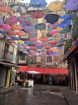 [P23] Catania- Via Gizira » foto by Yersinia Pestis
 - 
<span class="allrVoted glyphicon glyphicon-heart hidden" id="av1516772"></span>
<a class="m-l-10 hidden" id="sv1516772" onclick="voting_Foto_DelVot(,1516772,22049)" role="button">șterge vot <span class="glyphicon glyphicon-remove"></span></a>
<a id="v91516772" class=" c-red"  onclick="voting_Foto_SetVot(1516772)" role="button"><span class="glyphicon glyphicon-heart-empty"></span> <b>LIKE</b> = Votează poza</a> <img class="hidden"  id="f1516772W9" src="/imagini/loader.gif" border="0" /><span class="AjErrMes hidden" id="e1516772ErM"></span>