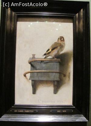 [P17] Carel Fabritius - Cinteza » foto by Radu Tudoran
 - 
<span class="allrVoted glyphicon glyphicon-heart hidden" id="av870007"></span>
<a class="m-l-10 hidden" id="sv870007" onclick="voting_Foto_DelVot(,870007,22137)" role="button">șterge vot <span class="glyphicon glyphicon-remove"></span></a>
<a id="v9870007" class=" c-red"  onclick="voting_Foto_SetVot(870007)" role="button"><span class="glyphicon glyphicon-heart-empty"></span> <b>LIKE</b> = Votează poza</a> <img class="hidden"  id="f870007W9" src="/imagini/loader.gif" border="0" /><span class="AjErrMes hidden" id="e870007ErM"></span>