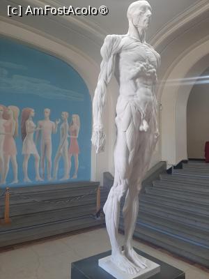 [P53] Iustinian Funie - Ecorche » foto by adso
 - 
<span class="allrVoted glyphicon glyphicon-heart hidden" id="av1520932"></span>
<a class="m-l-10 hidden" id="sv1520932" onclick="voting_Foto_DelVot(,1520932,22163)" role="button">șterge vot <span class="glyphicon glyphicon-remove"></span></a>
<a id="v91520932" class=" c-red"  onclick="voting_Foto_SetVot(1520932)" role="button"><span class="glyphicon glyphicon-heart-empty"></span> <b>LIKE</b> = Votează poza</a> <img class="hidden"  id="f1520932W9" src="/imagini/loader.gif" border="0" /><span class="AjErrMes hidden" id="e1520932ErM"></span>