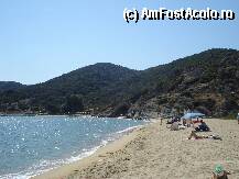 P13 [JUL-2008] Un alt coltisor din plaja de la Sykia, Sithonia, Halkidiki