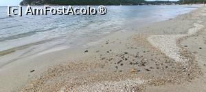 [P29] Porto Koufo Beach. » foto by tata123 🔱
 - 
<span class="allrVoted glyphicon glyphicon-heart hidden" id="av1494758"></span>
<a class="m-l-10 hidden" id="sv1494758" onclick="voting_Foto_DelVot(,1494758,22254)" role="button">șterge vot <span class="glyphicon glyphicon-remove"></span></a>
<a id="v91494758" class=" c-red"  onclick="voting_Foto_SetVot(1494758)" role="button"><span class="glyphicon glyphicon-heart-empty"></span> <b>LIKE</b> = Votează poza</a> <img class="hidden"  id="f1494758W9" src="/imagini/loader.gif" border="0" /><span class="AjErrMes hidden" id="e1494758ErM"></span>