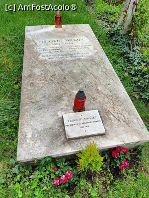 [P11] Lespedea prof. Ludovic Mrazec (întemeietorul Institutului Geologic al României). » foto by tata123 🔱
 - 
<span class="allrVoted glyphicon glyphicon-heart hidden" id="av1531209"></span>
<a class="m-l-10 hidden" id="sv1531209" onclick="voting_Foto_DelVot(,1531209,22321)" role="button">șterge vot <span class="glyphicon glyphicon-remove"></span></a>
<a id="v91531209" class=" c-red"  onclick="voting_Foto_SetVot(1531209)" role="button"><span class="glyphicon glyphicon-heart-empty"></span> <b>LIKE</b> = Votează poza</a> <img class="hidden"  id="f1531209W9" src="/imagini/loader.gif" border="0" /><span class="AjErrMes hidden" id="e1531209ErM"></span>