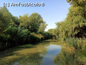 [P02] Canal în spatele satului Dunavăț » foto by kemi27
 - 
<span class="allrVoted glyphicon glyphicon-heart hidden" id="av1544747"></span>
<a class="m-l-10 hidden" id="sv1544747" onclick="voting_Foto_DelVot(,1544747,22432)" role="button">șterge vot <span class="glyphicon glyphicon-remove"></span></a>
<a id="v91544747" class=" c-red"  onclick="voting_Foto_SetVot(1544747)" role="button"><span class="glyphicon glyphicon-heart-empty"></span> <b>LIKE</b> = Votează poza</a> <img class="hidden"  id="f1544747W9" src="/imagini/loader.gif" border="0" /><span class="AjErrMes hidden" id="e1544747ErM"></span>