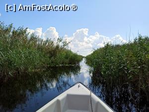 [P05] Canal ingust spre lacul Solomon » foto by kemi27
 - 
<span class="allrVoted glyphicon glyphicon-heart hidden" id="av1544750"></span>
<a class="m-l-10 hidden" id="sv1544750" onclick="voting_Foto_DelVot(,1544750,22432)" role="button">șterge vot <span class="glyphicon glyphicon-remove"></span></a>
<a id="v91544750" class=" c-red"  onclick="voting_Foto_SetVot(1544750)" role="button"><span class="glyphicon glyphicon-heart-empty"></span> <b>LIKE</b> = Votează poza</a> <img class="hidden"  id="f1544750W9" src="/imagini/loader.gif" border="0" /><span class="AjErrMes hidden" id="e1544750ErM"></span>