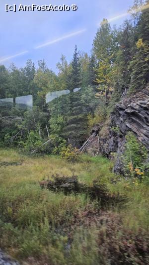 [P17] peisaje de pe drum » foto by robert
 - 
<span class="allrVoted glyphicon glyphicon-heart hidden" id="av1510562"></span>
<a class="m-l-10 hidden" id="sv1510562" onclick="voting_Foto_DelVot(,1510562,22462)" role="button">șterge vot <span class="glyphicon glyphicon-remove"></span></a>
<a id="v91510562" class=" c-red"  onclick="voting_Foto_SetVot(1510562)" role="button"><span class="glyphicon glyphicon-heart-empty"></span> <b>LIKE</b> = Votează poza</a> <img class="hidden"  id="f1510562W9" src="/imagini/loader.gif" border="0" /><span class="AjErrMes hidden" id="e1510562ErM"></span>