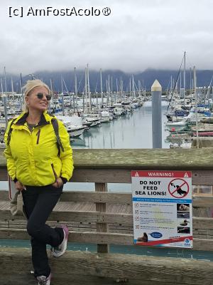 [P32]  -- <small>// FĂRĂ DESCRIERE</small> » foto by robert
 - 
<span class="allrVoted glyphicon glyphicon-heart hidden" id="av1510577"></span>
<a class="m-l-10 hidden" id="sv1510577" onclick="voting_Foto_DelVot(,1510577,22462)" role="button">șterge vot <span class="glyphicon glyphicon-remove"></span></a>
<a id="v91510577" class=" c-red"  onclick="voting_Foto_SetVot(1510577)" role="button"><span class="glyphicon glyphicon-heart-empty"></span> <b>LIKE</b> = Votează poza</a> <img class="hidden"  id="f1510577W9" src="/imagini/loader.gif" border="0" /><span class="AjErrMes hidden" id="e1510577ErM"></span>