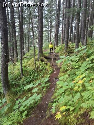 [P41] traseul prin pădure » foto by robert
 - 
<span class="allrVoted glyphicon glyphicon-heart hidden" id="av1510586"></span>
<a class="m-l-10 hidden" id="sv1510586" onclick="voting_Foto_DelVot(,1510586,22462)" role="button">șterge vot <span class="glyphicon glyphicon-remove"></span></a>
<a id="v91510586" class=" c-red"  onclick="voting_Foto_SetVot(1510586)" role="button"><span class="glyphicon glyphicon-heart-empty"></span> <b>LIKE</b> = Votează poza</a> <img class="hidden"  id="f1510586W9" src="/imagini/loader.gif" border="0" /><span class="AjErrMes hidden" id="e1510586ErM"></span>