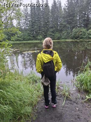 [P45] traseul prin pădure » foto by robert
 - 
<span class="allrVoted glyphicon glyphicon-heart hidden" id="av1510590"></span>
<a class="m-l-10 hidden" id="sv1510590" onclick="voting_Foto_DelVot(,1510590,22462)" role="button">șterge vot <span class="glyphicon glyphicon-remove"></span></a>
<a id="v91510590" class=" c-red"  onclick="voting_Foto_SetVot(1510590)" role="button"><span class="glyphicon glyphicon-heart-empty"></span> <b>LIKE</b> = Votează poza</a> <img class="hidden"  id="f1510590W9" src="/imagini/loader.gif" border="0" /><span class="AjErrMes hidden" id="e1510590ErM"></span>