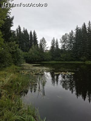 [P46] traseul prin pădure » foto by robert
 - 
<span class="allrVoted glyphicon glyphicon-heart hidden" id="av1510591"></span>
<a class="m-l-10 hidden" id="sv1510591" onclick="voting_Foto_DelVot(,1510591,22462)" role="button">șterge vot <span class="glyphicon glyphicon-remove"></span></a>
<a id="v91510591" class=" c-red"  onclick="voting_Foto_SetVot(1510591)" role="button"><span class="glyphicon glyphicon-heart-empty"></span> <b>LIKE</b> = Votează poza</a> <img class="hidden"  id="f1510591W9" src="/imagini/loader.gif" border="0" /><span class="AjErrMes hidden" id="e1510591ErM"></span>