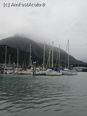 [P55] vase de prin port » foto by robert
 - 
<span class="allrVoted glyphicon glyphicon-heart hidden" id="av1510600"></span>
<a class="m-l-10 hidden" id="sv1510600" onclick="voting_Foto_DelVot(,1510600,22462)" role="button">șterge vot <span class="glyphicon glyphicon-remove"></span></a>
<a id="v91510600" class=" c-red"  onclick="voting_Foto_SetVot(1510600)" role="button"><span class="glyphicon glyphicon-heart-empty"></span> <b>LIKE</b> = Votează poza</a> <img class="hidden"  id="f1510600W9" src="/imagini/loader.gif" border="0" /><span class="AjErrMes hidden" id="e1510600ErM"></span>