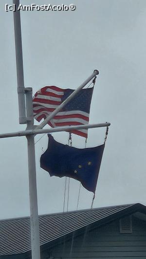 [P56] vase de prin port » foto by robert
 - 
<span class="allrVoted glyphicon glyphicon-heart hidden" id="av1510601"></span>
<a class="m-l-10 hidden" id="sv1510601" onclick="voting_Foto_DelVot(,1510601,22462)" role="button">șterge vot <span class="glyphicon glyphicon-remove"></span></a>
<a id="v91510601" class=" c-red"  onclick="voting_Foto_SetVot(1510601)" role="button"><span class="glyphicon glyphicon-heart-empty"></span> <b>LIKE</b> = Votează poza</a> <img class="hidden"  id="f1510601W9" src="/imagini/loader.gif" border="0" /><span class="AjErrMes hidden" id="e1510601ErM"></span>