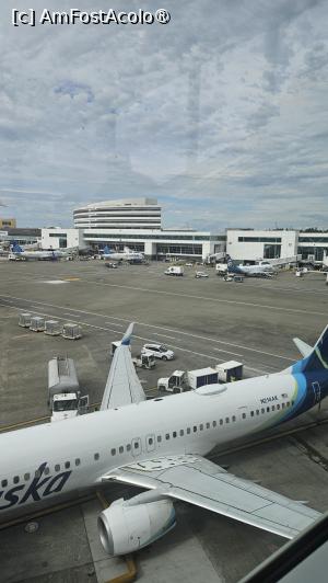 [P02] avionul nostru spre Alaska » foto by robert
 - 
<span class="allrVoted glyphicon glyphicon-heart hidden" id="av1496937"></span>
<a class="m-l-10 hidden" id="sv1496937" onclick="voting_Foto_DelVot(,1496937,22465)" role="button">șterge vot <span class="glyphicon glyphicon-remove"></span></a>
<a id="v91496937" class=" c-red"  onclick="voting_Foto_SetVot(1496937)" role="button"><span class="glyphicon glyphicon-heart-empty"></span> <b>LIKE</b> = Votează poza</a> <img class="hidden"  id="f1496937W9" src="/imagini/loader.gif" border="0" /><span class="AjErrMes hidden" id="e1496937ErM"></span>