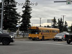 [P06] clasic autobuz scolar » foto by robert
 - 
<span class="allrVoted glyphicon glyphicon-heart hidden" id="av1496941"></span>
<a class="m-l-10 hidden" id="sv1496941" onclick="voting_Foto_DelVot(,1496941,22465)" role="button">șterge vot <span class="glyphicon glyphicon-remove"></span></a>
<a id="v91496941" class=" c-red"  onclick="voting_Foto_SetVot(1496941)" role="button"><span class="glyphicon glyphicon-heart-empty"></span> <b>LIKE</b> = Votează poza</a> <img class="hidden"  id="f1496941W9" src="/imagini/loader.gif" border="0" /><span class="AjErrMes hidden" id="e1496941ErM"></span>