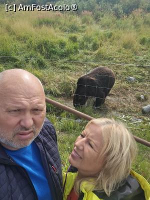 [P10] la centrul de conservare al animalelor sălbatice » foto by robert
 - 
<span class="allrVoted glyphicon glyphicon-heart hidden" id="av1504428"></span>
<a class="m-l-10 hidden" id="sv1504428" onclick="voting_Foto_DelVot(,1504428,22465)" role="button">șterge vot <span class="glyphicon glyphicon-remove"></span></a>
<a id="v91504428" class=" c-red"  onclick="voting_Foto_SetVot(1504428)" role="button"><span class="glyphicon glyphicon-heart-empty"></span> <b>LIKE</b> = Votează poza</a> <img class="hidden"  id="f1504428W9" src="/imagini/loader.gif" border="0" /><span class="AjErrMes hidden" id="e1504428ErM"></span>