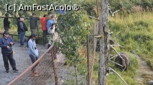 [P12] la centrul de conservare al animalelor sălbatice » foto by robert
 - 
<span class="allrVoted glyphicon glyphicon-heart hidden" id="av1504430"></span>
<a class="m-l-10 hidden" id="sv1504430" onclick="voting_Foto_DelVot(,1504430,22465)" role="button">șterge vot <span class="glyphicon glyphicon-remove"></span></a>
<a id="v91504430" class=" c-red"  onclick="voting_Foto_SetVot(1504430)" role="button"><span class="glyphicon glyphicon-heart-empty"></span> <b>LIKE</b> = Votează poza</a> <img class="hidden"  id="f1504430W9" src="/imagini/loader.gif" border="0" /><span class="AjErrMes hidden" id="e1504430ErM"></span>