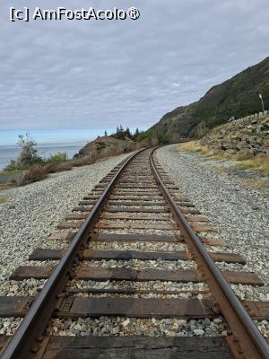 [P02] calea ferată pe care o sa mergem peste cateva zile » foto by robert
 - 
<span class="allrVoted glyphicon glyphicon-heart hidden" id="av1504420"></span>
<a class="m-l-10 hidden" id="sv1504420" onclick="voting_Foto_DelVot(,1504420,22465)" role="button">șterge vot <span class="glyphicon glyphicon-remove"></span></a>
<a id="v91504420" class=" c-red"  onclick="voting_Foto_SetVot(1504420)" role="button"><span class="glyphicon glyphicon-heart-empty"></span> <b>LIKE</b> = Votează poza</a> <img class="hidden"  id="f1504420W9" src="/imagini/loader.gif" border="0" /><span class="AjErrMes hidden" id="e1504420ErM"></span>