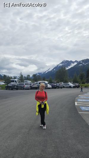 [P28] la centrul de conservare al animalelor sălbatice » foto by robert
 - 
<span class="allrVoted glyphicon glyphicon-heart hidden" id="av1504446"></span>
<a class="m-l-10 hidden" id="sv1504446" onclick="voting_Foto_DelVot(,1504446,22465)" role="button">șterge vot <span class="glyphicon glyphicon-remove"></span></a>
<a id="v91504446" class=" c-red"  onclick="voting_Foto_SetVot(1504446)" role="button"><span class="glyphicon glyphicon-heart-empty"></span> <b>LIKE</b> = Votează poza</a> <img class="hidden"  id="f1504446W9" src="/imagini/loader.gif" border="0" /><span class="AjErrMes hidden" id="e1504446ErM"></span>