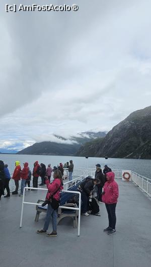 [P42] pe vasul nostru » foto by robert
 - 
<span class="allrVoted glyphicon glyphicon-heart hidden" id="av1504460"></span>
<a class="m-l-10 hidden" id="sv1504460" onclick="voting_Foto_DelVot(,1504460,22465)" role="button">șterge vot <span class="glyphicon glyphicon-remove"></span></a>
<a id="v91504460" class=" c-red"  onclick="voting_Foto_SetVot(1504460)" role="button"><span class="glyphicon glyphicon-heart-empty"></span> <b>LIKE</b> = Votează poza</a> <img class="hidden"  id="f1504460W9" src="/imagini/loader.gif" border="0" /><span class="AjErrMes hidden" id="e1504460ErM"></span>