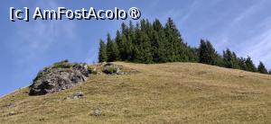 [P16] Transrarau - Drumul Comorilor, popas la punctul de belvedere. » foto by iulianic
 - 
<span class="allrVoted glyphicon glyphicon-heart hidden" id="av1543551"></span>
<a class="m-l-10 hidden" id="sv1543551" onclick="voting_Foto_DelVot(,1543551,22474)" role="button">șterge vot <span class="glyphicon glyphicon-remove"></span></a>
<a id="v91543551" class=" c-red"  onclick="voting_Foto_SetVot(1543551)" role="button"><span class="glyphicon glyphicon-heart-empty"></span> <b>LIKE</b> = Votează poza</a> <img class="hidden"  id="f1543551W9" src="/imagini/loader.gif" border="0" /><span class="AjErrMes hidden" id="e1543551ErM"></span>