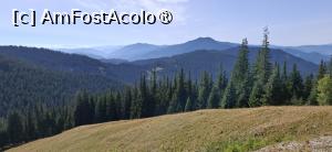[P05] Transrarau - Drumul Comorilor, popas la punctul de belvedere. » foto by iulianic
 - 
<span class="allrVoted glyphicon glyphicon-heart hidden" id="av1543540"></span>
<a class="m-l-10 hidden" id="sv1543540" onclick="voting_Foto_DelVot(,1543540,22474)" role="button">șterge vot <span class="glyphicon glyphicon-remove"></span></a>
<a id="v91543540" class=" c-red"  onclick="voting_Foto_SetVot(1543540)" role="button"><span class="glyphicon glyphicon-heart-empty"></span> <b>LIKE</b> = Votează poza</a> <img class="hidden"  id="f1543540W9" src="/imagini/loader.gif" border="0" /><span class="AjErrMes hidden" id="e1543540ErM"></span>