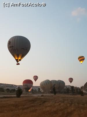 [P04] imagini in zori de zi, pe campul cu baloane din Cappadocia » foto by silvia tudoran
 - 
<span class="allrVoted glyphicon glyphicon-heart hidden" id="av1122782"></span>
<a class="m-l-10 hidden" id="sv1122782" onclick="voting_Foto_DelVot(,1122782,22561)" role="button">șterge vot <span class="glyphicon glyphicon-remove"></span></a>
<a id="v91122782" class=" c-red"  onclick="voting_Foto_SetVot(1122782)" role="button"><span class="glyphicon glyphicon-heart-empty"></span> <b>LIKE</b> = Votează poza</a> <img class="hidden"  id="f1122782W9" src="/imagini/loader.gif" border="0" /><span class="AjErrMes hidden" id="e1122782ErM"></span>