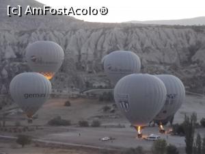 P14 [OCT-2017] 'Cuibul' baloanelor gri