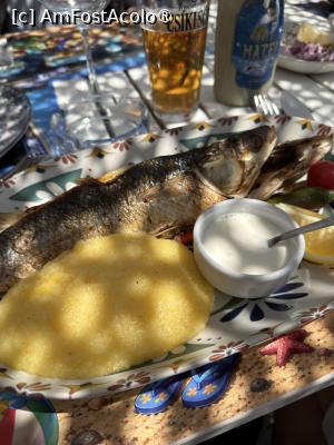 [P03] Chefal pe plită cu mămăliguță și usturoi la Pescăria lui Matei din Agigea. » foto by Floria
 - 
<span class="allrVoted glyphicon glyphicon-heart hidden" id="av1537945"></span>
<a class="m-l-10 hidden" id="sv1537945" onclick="voting_Foto_DelVot(,1537945,22681)" role="button">șterge vot <span class="glyphicon glyphicon-remove"></span></a>
<a id="v91537945" class=" c-red"  onclick="voting_Foto_SetVot(1537945)" role="button"><span class="glyphicon glyphicon-heart-empty"></span> <b>LIKE</b> = Votează poza</a> <img class="hidden"  id="f1537945W9" src="/imagini/loader.gif" border="0" /><span class="AjErrMes hidden" id="e1537945ErM"></span>