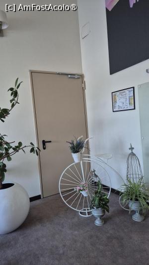 [P30] Hotel Belfort - decor pe scări » foto by ANILU
 - 
<span class="allrVoted glyphicon glyphicon-heart hidden" id="av1541971"></span>
<a class="m-l-10 hidden" id="sv1541971" onclick="voting_Foto_DelVot(,1541971,22780)" role="button">șterge vot <span class="glyphicon glyphicon-remove"></span></a>
<a id="v91541971" class=" c-red"  onclick="voting_Foto_SetVot(1541971)" role="button"><span class="glyphicon glyphicon-heart-empty"></span> <b>LIKE</b> = Votează poza</a> <img class="hidden"  id="f1541971W9" src="/imagini/loader.gif" border="0" /><span class="AjErrMes hidden" id="e1541971ErM"></span>
