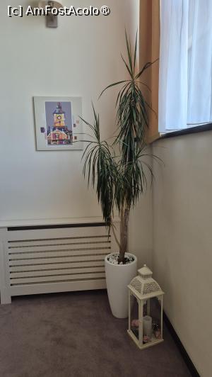 [P31] Hotel Belfort - decor pe scări » foto by ANILU
 - 
<span class="allrVoted glyphicon glyphicon-heart hidden" id="av1541972"></span>
<a class="m-l-10 hidden" id="sv1541972" onclick="voting_Foto_DelVot(,1541972,22780)" role="button">șterge vot <span class="glyphicon glyphicon-remove"></span></a>
<a id="v91541972" class=" c-red"  onclick="voting_Foto_SetVot(1541972)" role="button"><span class="glyphicon glyphicon-heart-empty"></span> <b>LIKE</b> = Votează poza</a> <img class="hidden"  id="f1541972W9" src="/imagini/loader.gif" border="0" /><span class="AjErrMes hidden" id="e1541972ErM"></span>