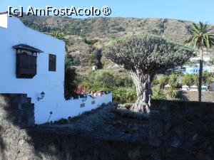 [P05] Icod de los Vinos - Parque del Drago Milenario. Arborele monument. » foto by iulianic
 - 
<span class="allrVoted glyphicon glyphicon-heart hidden" id="av1434611"></span>
<a class="m-l-10 hidden" id="sv1434611" onclick="voting_Foto_DelVot(,1434611,22792)" role="button">șterge vot <span class="glyphicon glyphicon-remove"></span></a>
<a id="v91434611" class=" c-red"  onclick="voting_Foto_SetVot(1434611)" role="button"><span class="glyphicon glyphicon-heart-empty"></span> <b>LIKE</b> = Votează poza</a> <img class="hidden"  id="f1434611W9" src="/imagini/loader.gif" border="0" /><span class="AjErrMes hidden" id="e1434611ErM"></span>