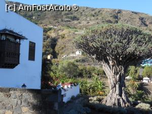 [P06] Icod de los Vinos - Parque del Drago Milenario. Arborele monument. » foto by iulianic
 - 
<span class="allrVoted glyphicon glyphicon-heart hidden" id="av1434612"></span>
<a class="m-l-10 hidden" id="sv1434612" onclick="voting_Foto_DelVot(,1434612,22792)" role="button">șterge vot <span class="glyphicon glyphicon-remove"></span></a>
<a id="v91434612" class=" c-red"  onclick="voting_Foto_SetVot(1434612)" role="button"><span class="glyphicon glyphicon-heart-empty"></span> <b>LIKE</b> = Votează poza</a> <img class="hidden"  id="f1434612W9" src="/imagini/loader.gif" border="0" /><span class="AjErrMes hidden" id="e1434612ErM"></span>