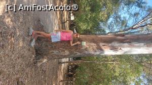 [P03] pe aleea cu eucalipti uriasi » foto by raducondurache
 - 
<span class="allrVoted glyphicon glyphicon-heart hidden" id="av1496167"></span>
<a class="m-l-10 hidden" id="sv1496167" onclick="voting_Foto_DelVot(,1496167,22820)" role="button">șterge vot <span class="glyphicon glyphicon-remove"></span></a>
<a id="v91496167" class=" c-red"  onclick="voting_Foto_SetVot(1496167)" role="button"><span class="glyphicon glyphicon-heart-empty"></span> <b>LIKE</b> = Votează poza</a> <img class="hidden"  id="f1496167W9" src="/imagini/loader.gif" border="0" /><span class="AjErrMes hidden" id="e1496167ErM"></span>