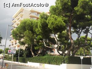 [P05] Hoteluri selecte cu garduri vii tunse 'la linie' » foto by diacrys*
 - 
<span class="allrVoted glyphicon glyphicon-heart hidden" id="av910120"></span>
<a class="m-l-10 hidden" id="sv910120" onclick="voting_Foto_DelVot(,910120,22906)" role="button">șterge vot <span class="glyphicon glyphicon-remove"></span></a>
<a id="v9910120" class=" c-red"  onclick="voting_Foto_SetVot(910120)" role="button"><span class="glyphicon glyphicon-heart-empty"></span> <b>LIKE</b> = Votează poza</a> <img class="hidden"  id="f910120W9" src="/imagini/loader.gif" border="0" /><span class="AjErrMes hidden" id="e910120ErM"></span>