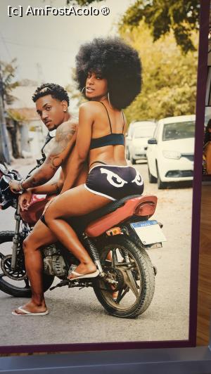 [P07] poze faine » foto by robert
 - 
<span class="allrVoted glyphicon glyphicon-heart hidden" id="av1519134"></span>
<a class="m-l-10 hidden" id="sv1519134" onclick="voting_Foto_DelVot(,1519134,22921)" role="button">șterge vot <span class="glyphicon glyphicon-remove"></span></a>
<a id="v91519134" class=" c-red"  onclick="voting_Foto_SetVot(1519134)" role="button"><span class="glyphicon glyphicon-heart-empty"></span> <b>LIKE</b> = Votează poza</a> <img class="hidden"  id="f1519134W9" src="/imagini/loader.gif" border="0" /><span class="AjErrMes hidden" id="e1519134ErM"></span>