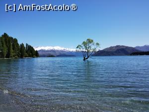 [P29] Wanaka Tree » foto by Marius 72
 - 
<span class="allrVoted glyphicon glyphicon-heart hidden" id="av1474657"></span>
<a class="m-l-10 hidden" id="sv1474657" onclick="voting_Foto_DelVot(,1474657,22922)" role="button">șterge vot <span class="glyphicon glyphicon-remove"></span></a>
<a id="v91474657" class=" c-red"  onclick="voting_Foto_SetVot(1474657)" role="button"><span class="glyphicon glyphicon-heart-empty"></span> <b>LIKE</b> = Votează poza</a> <img class="hidden"  id="f1474657W9" src="/imagini/loader.gif" border="0" /><span class="AjErrMes hidden" id="e1474657ErM"></span>