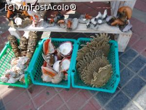 [P14] o stea de mare stiti cu totii ce este, dar acesta este un SOARE DE MARE!  » foto by buterfly*
 - 
<span class="allrVoted glyphicon glyphicon-heart hidden" id="av813592"></span>
<a class="m-l-10 hidden" id="sv813592" onclick="voting_Foto_DelVot(,813592,22927)" role="button">șterge vot <span class="glyphicon glyphicon-remove"></span></a>
<a id="v9813592" class=" c-red"  onclick="voting_Foto_SetVot(813592)" role="button"><span class="glyphicon glyphicon-heart-empty"></span> <b>LIKE</b> = Votează poza</a> <img class="hidden"  id="f813592W9" src="/imagini/loader.gif" border="0" /><span class="AjErrMes hidden" id="e813592ErM"></span>