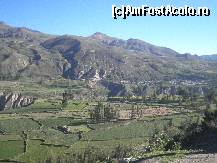 [P30] parcele de terenuri agricole, din Valea Colca » foto by grecudoina
 - 
<span class="allrVoted glyphicon glyphicon-heart hidden" id="av399436"></span>
<a class="m-l-10 hidden" id="sv399436" onclick="voting_Foto_DelVot(,399436,22989)" role="button">șterge vot <span class="glyphicon glyphicon-remove"></span></a>
<a id="v9399436" class=" c-red"  onclick="voting_Foto_SetVot(399436)" role="button"><span class="glyphicon glyphicon-heart-empty"></span> <b>LIKE</b> = Votează poza</a> <img class="hidden"  id="f399436W9" src="/imagini/loader.gif" border="0" /><span class="AjErrMes hidden" id="e399436ErM"></span>