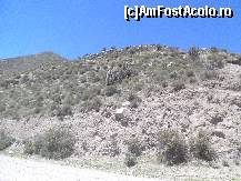 [P45] cactusi inalti, strajuiesc tot drumul, dar din masina nu am putut sa-i fotografiez pe cei mai frumosi, care erau infloriti. Aveau flori albe, rosii si galbene » foto by grecudoina
 - 
<span class="allrVoted glyphicon glyphicon-heart hidden" id="av399451"></span>
<a class="m-l-10 hidden" id="sv399451" onclick="voting_Foto_DelVot(,399451,22989)" role="button">șterge vot <span class="glyphicon glyphicon-remove"></span></a>
<a id="v9399451" class=" c-red"  onclick="voting_Foto_SetVot(399451)" role="button"><span class="glyphicon glyphicon-heart-empty"></span> <b>LIKE</b> = Votează poza</a> <img class="hidden"  id="f399451W9" src="/imagini/loader.gif" border="0" /><span class="AjErrMes hidden" id="e399451ErM"></span>