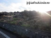 [P23] Urcarea pe Etna Sud, lava acoperita de vajnice verdeturi » foto by le_maitre
 - 
<span class="allrVoted glyphicon glyphicon-heart hidden" id="av324295"></span>
<a class="m-l-10 hidden" id="sv324295" onclick="voting_Foto_DelVot(,324295,23043)" role="button">șterge vot <span class="glyphicon glyphicon-remove"></span></a>
<a id="v9324295" class=" c-red"  onclick="voting_Foto_SetVot(324295)" role="button"><span class="glyphicon glyphicon-heart-empty"></span> <b>LIKE</b> = Votează poza</a> <img class="hidden"  id="f324295W9" src="/imagini/loader.gif" border="0" /><span class="AjErrMes hidden" id="e324295ErM"></span>