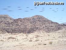 [P11] Iordania - Desertul Wadi Rum - remarcati firele de electricitate » foto by Diaura*
 - 
<span class="allrVoted glyphicon glyphicon-heart hidden" id="av154044"></span>
<a class="m-l-10 hidden" id="sv154044" onclick="voting_Foto_DelVot(,154044,23059)" role="button">șterge vot <span class="glyphicon glyphicon-remove"></span></a>
<a id="v9154044" class=" c-red"  onclick="voting_Foto_SetVot(154044)" role="button"><span class="glyphicon glyphicon-heart-empty"></span> <b>LIKE</b> = Votează poza</a> <img class="hidden"  id="f154044W9" src="/imagini/loader.gif" border="0" /><span class="AjErrMes hidden" id="e154044ErM"></span>