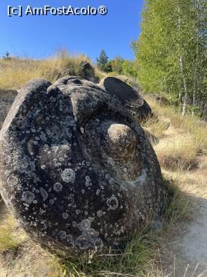 [P14] Trovanții » foto by Yersinia Pestis
 - 
<span class="allrVoted glyphicon glyphicon-heart hidden" id="av1500075"></span>
<a class="m-l-10 hidden" id="sv1500075" onclick="voting_Foto_DelVot(,1500075,23238)" role="button">șterge vot <span class="glyphicon glyphicon-remove"></span></a>
<a id="v91500075" class=" c-red"  onclick="voting_Foto_SetVot(1500075)" role="button"><span class="glyphicon glyphicon-heart-empty"></span> <b>LIKE</b> = Votează poza</a> <img class="hidden"  id="f1500075W9" src="/imagini/loader.gif" border="0" /><span class="AjErrMes hidden" id="e1500075ErM"></span>