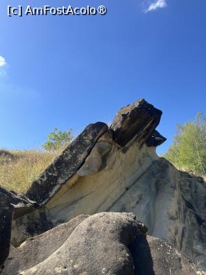 [P17] Trovanții » foto by Yersinia Pestis
 - 
<span class="allrVoted glyphicon glyphicon-heart hidden" id="av1500078"></span>
<a class="m-l-10 hidden" id="sv1500078" onclick="voting_Foto_DelVot(,1500078,23238)" role="button">șterge vot <span class="glyphicon glyphicon-remove"></span></a>
<a id="v91500078" class=" c-red"  onclick="voting_Foto_SetVot(1500078)" role="button"><span class="glyphicon glyphicon-heart-empty"></span> <b>LIKE</b> = Votează poza</a> <img class="hidden"  id="f1500078W9" src="/imagini/loader.gif" border="0" /><span class="AjErrMes hidden" id="e1500078ErM"></span>