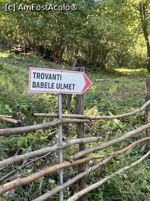 [P03] 2 km mai târziu, sus, în vârf ! Foarte-n vârf !!! » foto by Yersinia Pestis
 - 
<span class="allrVoted glyphicon glyphicon-heart hidden" id="av1500064"></span>
<a class="m-l-10 hidden" id="sv1500064" onclick="voting_Foto_DelVot(,1500064,23238)" role="button">șterge vot <span class="glyphicon glyphicon-remove"></span></a>
<a id="v91500064" class=" c-red"  onclick="voting_Foto_SetVot(1500064)" role="button"><span class="glyphicon glyphicon-heart-empty"></span> <b>LIKE</b> = Votează poza</a> <img class="hidden"  id="f1500064W9" src="/imagini/loader.gif" border="0" /><span class="AjErrMes hidden" id="e1500064ErM"></span>